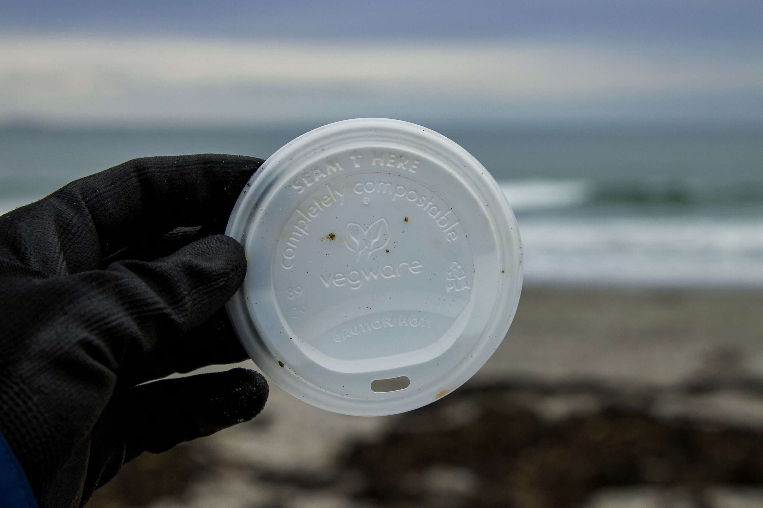 Navigating the Green Tide: Understanding the Implications of Recent Greenwashing Regulations 