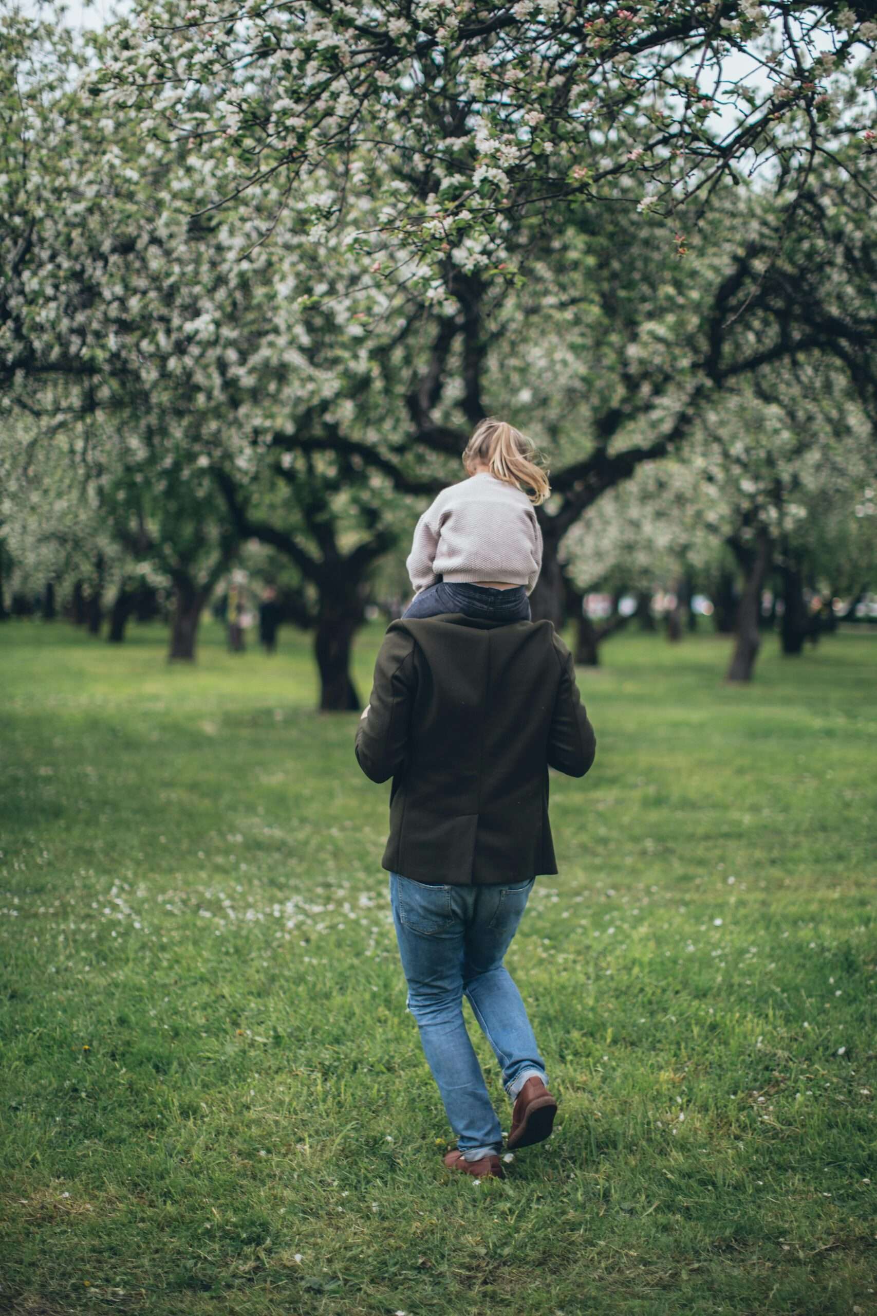 What is a Trust? Everything You Need to Know